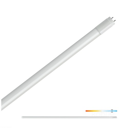231f46010d6bbc8aca1b55f0a1c38ac8