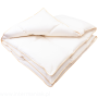 a8aa8449b4e94eba4ae15ed14bc0aeba.png