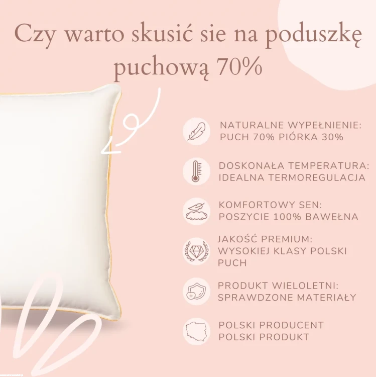 86a217585579d834032666a793863530.png