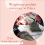 70627d680db24e01c6db4b6abb3167f7.png