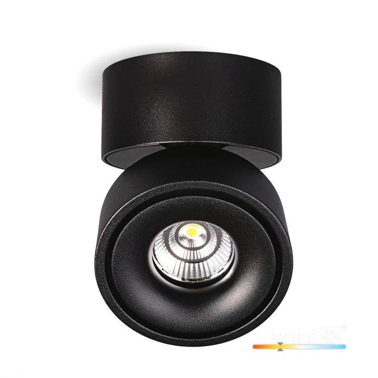 oprawa-sufitowa-lahti-mini-dim-9w-3000k-czarna-art-of-light-0ff33055c8dd439e84431e5655bde09d-37c26760.jpg