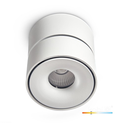 oprawa-sufitowa-lahti-mini-dim-9w-3000k-biala-art-of-light-d51242f482264d718ec572b119687210-798013ee.jpg