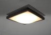 plafon-studio-30-wenge-e3fcc8e4cb4f459db76f6721ed5ccd88-e48e6668.jpg