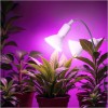 lampka-biurkowa-planty-clip-w-duo-2xe27-biala-kobi-design-e1ac26efcb134313b088ad3c5e20f1e1-fdc3c377.jpg