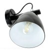lampa-wiszaca-polaris-3818-7054843370cd4ad09bc2d7867cc449e0-90a8662b.jpg