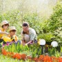 slupek-ogrodowy-solar-led-sphere-g2-10cm-4000k-ip44-led2b-0c0a89068da449b3af5d8c357e893429-4d9f283a.jpg