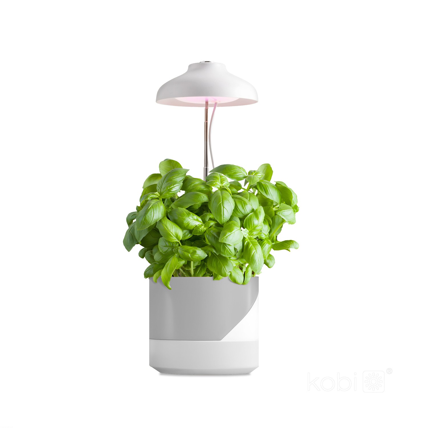 lampa-do-roslin-led-verdi-5w-3200k-kobi-design-3b91464fc1c84160bb1da0ae53c588b9-f06fefce.jpg