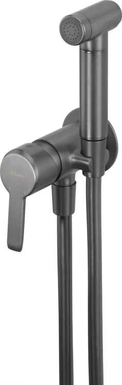 pol_pl_Bateria-bidetowa-podtynkowa-ze-sluchawka-typu-bidetta-titanium-BQA-D34M-3387_1.jpg