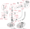 pol_pl_Syfon-wannowy-CLIK-CLAK-z-plaskim-przelewem-chrom-1071_3.png