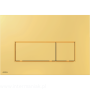 pol_pl_Przycisk-sterujacy-do-systemow-podtynkowych-zloty-polysk-6100_1.png