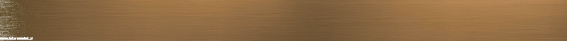 pol_pl_Ruszt-do-odwodnienia-liniowego-mosiadz-antyczny-4526_1.png