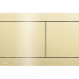 pol_pl_Przycisk-sterujacy-do-systemow-podtynkowych-GOLD-polysk-4824_1.png