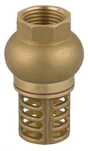pol_pl_Zawor-zwrotny-z-mosieznym-koszem-ssacym-1-1-2-9694_1.jpg
