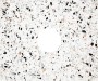 pol_pl_Blat-kamienny-do-konsoli-lazienkowej-terrazzo-CBL-K61A-10061_2.jpg