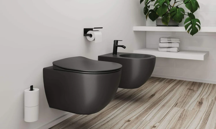 pol_pl_Bidet-wiszacy-antracyt-titanium-CDE-DBPW-10063_2.jpg