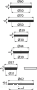 pol_pl_Zestaw-naprawczy-uszczelek-do-syfonow-umywalkowych-7221_2.png