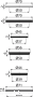 pol_pl_Zestaw-naprawczy-uszczelek-do-syfonow-zlewozmywakowych-7222_2.png