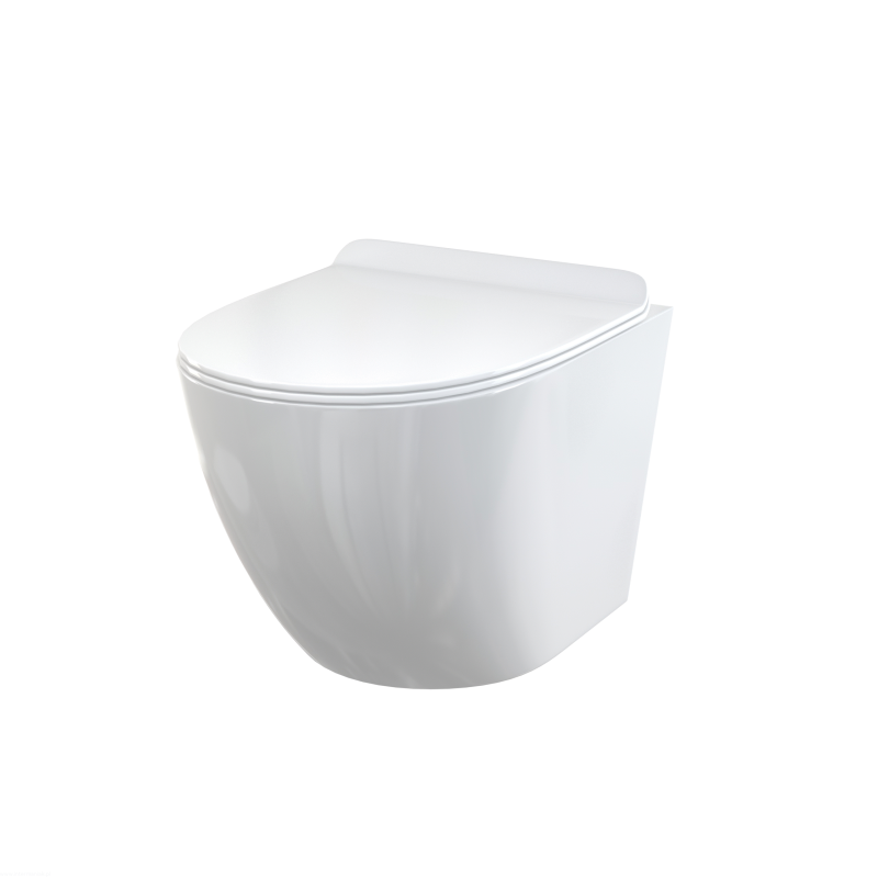 pol_pl_Muszla-WC-wiszaca-Deska-sedesowa-SLIM-SOFTCLOSE-Duroplast-8410_1.png