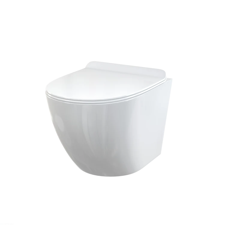 pol_pl_Muszla-WC-wiszaca-Deska-sedesowa-SLIM-SOFTCLOSE-Duroplast-8410_1.png