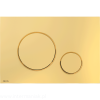 pol_pl_Przycisk-sterujacy-do-systemow-podtynkowych-zloty-polysk-6112_1.png