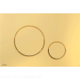 pol_pl_Przycisk-sterujacy-do-systemow-podtynkowych-zloty-polysk-6112_1.png