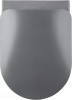 pol_pl_Deska-sedesowa-slim-wolnoopadajaca-antracyt-titanium-CDE-DSOZ-4191_2.jpg