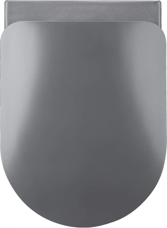 pol_pl_Deska-sedesowa-slim-wolnoopadajaca-antracyt-titanium-CDE-DSOZ-4191_2.jpg