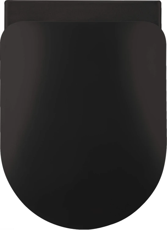 pol_pl_Deska-sedesowa-slim-wolnoopadajaca-nero-CDE-NSOZ-4194_2.jpg