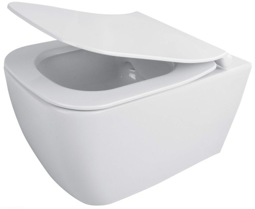 pol_pl_Miska-WC-z-deska-bezkolnierzowa-bialy-bialy-CDYD6ZPW-4299_1.jpg