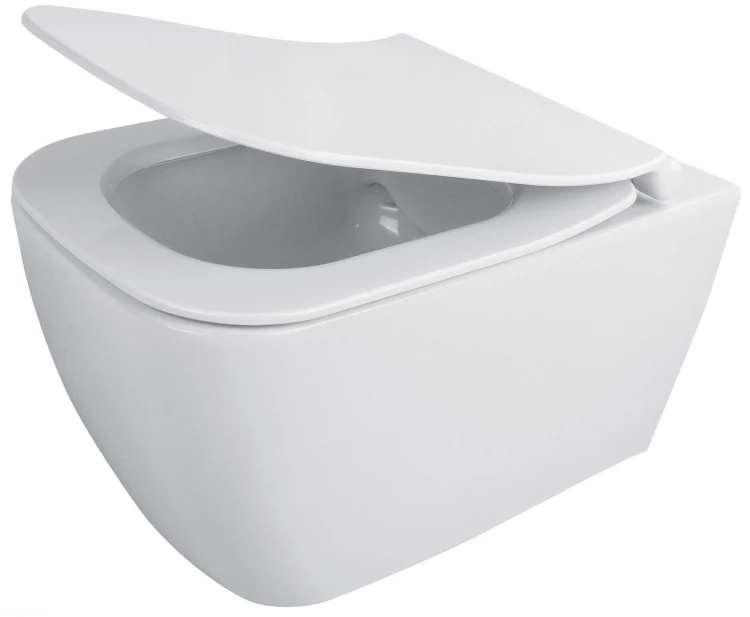 pol_pl_Miska-WC-z-deska-bezkolnierzowa-bialy-bialy-CDYD6ZPW-4299_1.jpg