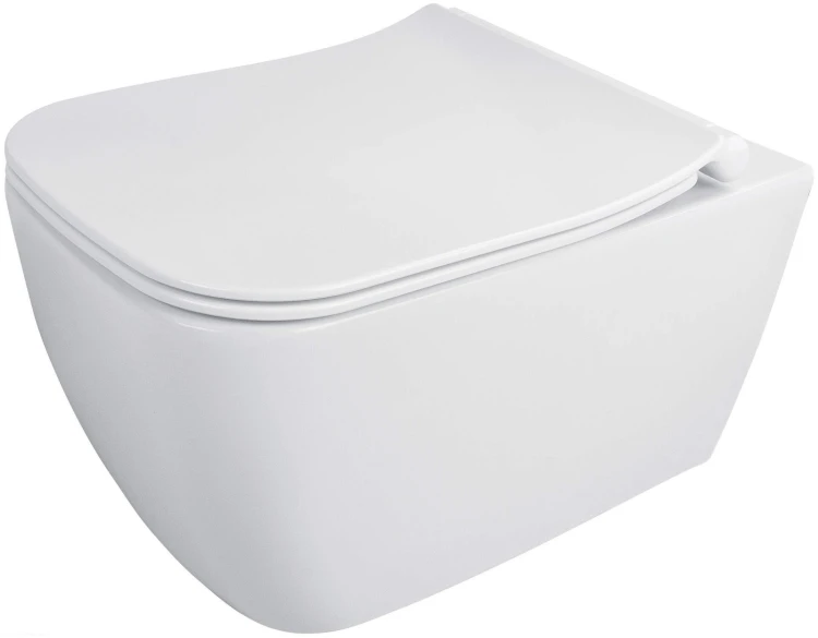 pol_pl_Miska-WC-z-deska-bezkolnierzowa-bialy-bialy-CDYD6ZPW-4299_2.jpg