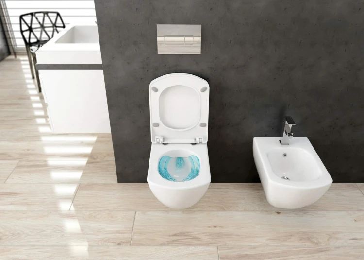 pol_pl_Bidet-wiszacy-bialy-CDZ-6BPW-4304_2.jpg