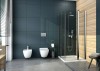 pol_pl_Miska-WC-wiszaca-bezkolnierzowa-bialy-CDZ-6ZPW-4306_5.jpg