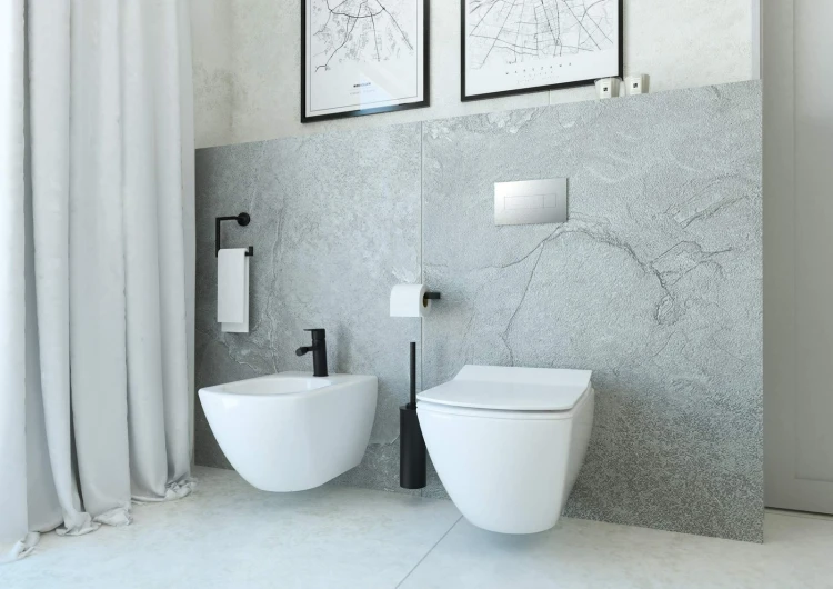 pol_pl_Zestaw-WC-podtynkowy-6-w-1-bialy-chrom-CDZS6ZPW-4313_6.jpg