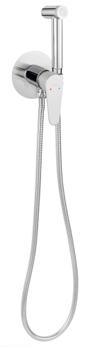 pol_pl_ALGEO-bateria-podtynkowa-bidetowa-z-zestawem-natryskowym-chrom-2519_1.png