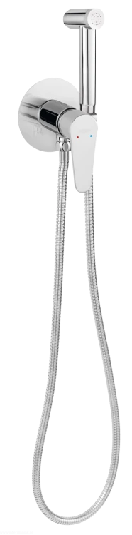 pol_pl_ALGEO-bateria-podtynkowa-bidetowa-z-zestawem-natryskowym-chrom-2519_1.png
