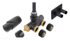 pol_pl_Dekoracyjny-zestaw-termostatyczny-z-nastawa-wstepna-tuleja-zanurzeniowa-i-glowica-termostatyczna-antracytowy-29593_1.png