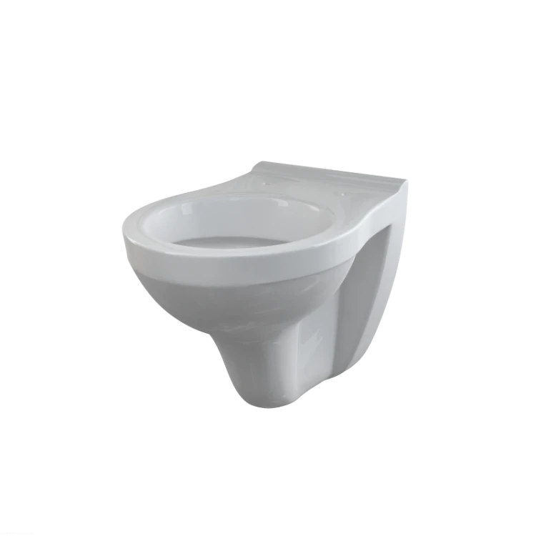 pol_pl_Muszla-WC-wiszaca-29784_1.png