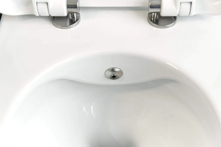 pol_pl_Miska-WC-z-funkcja-bidetu-z-bateria-mieszaczowa-bialy-bialy-CBP-6WPW-4167_5.jpg