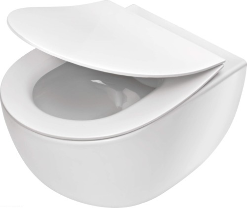 pol_pl_Miska-WC-z-deska-bezkolnierzowa-bialy-CDED6ZPW-4209_1.jpg