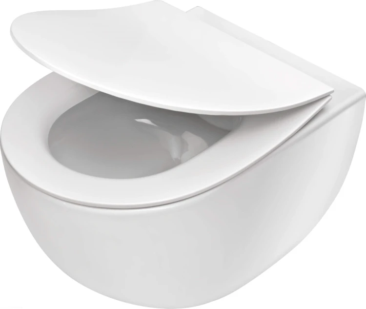 pol_pl_Miska-WC-z-deska-bezkolnierzowa-bialy-CDED6ZPW-4209_1.jpg