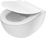 pol_pl_Miska-WC-z-deska-bezkolnierzowa-bialy-CDED6ZPW-4209_1.jpg