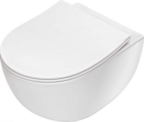 pol_pl_Miska-WC-z-deska-bezkolnierzowa-bialy-CDED6ZPW-4209_2.jpg