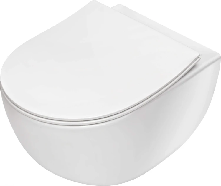 pol_pl_Miska-WC-z-deska-bezkolnierzowa-bialy-CDED6ZPW-4209_2.jpg