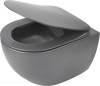 pol_pl_Miska-WC-z-deska-bezkolnierzowa-antracyt-titanium-antracyt-titanium-CDEDDZPW-4210_1.jpg