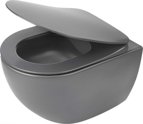 pol_pl_Miska-WC-z-deska-bezkolnierzowa-antracyt-titanium-antracyt-titanium-CDEDDZPW-4210_1.jpg