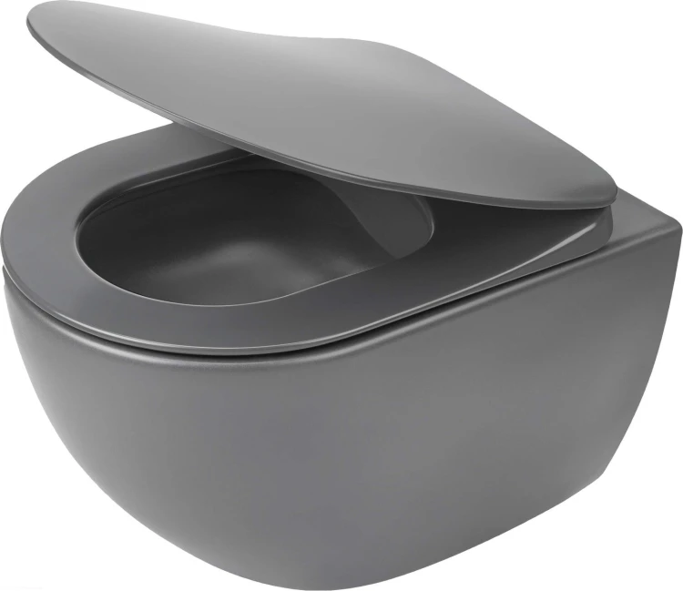 pol_pl_Miska-WC-z-deska-bezkolnierzowa-antracyt-titanium-antracyt-titanium-CDEDDZPW-4210_1.jpg