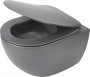 pol_pl_Miska-WC-z-deska-bezkolnierzowa-antracyt-titanium-antracyt-titanium-CDEDDZPW-4210_1.jpg