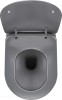 pol_pl_Miska-WC-z-deska-bezkolnierzowa-antracyt-titanium-antracyt-titanium-CDEDDZPW-4210_2.jpg