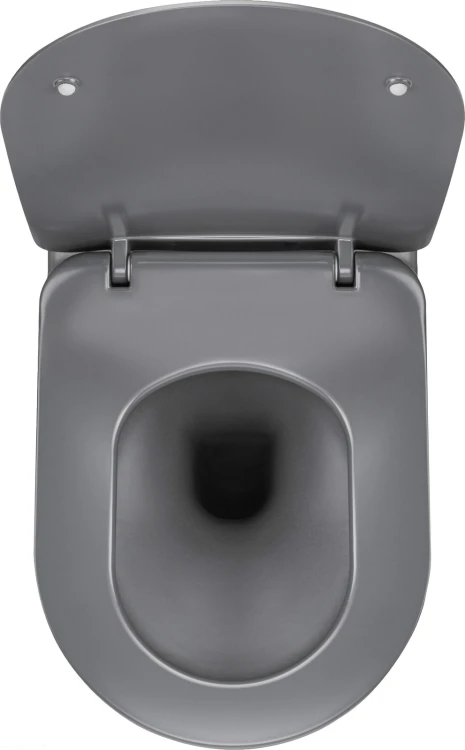 pol_pl_Miska-WC-z-deska-bezkolnierzowa-antracyt-titanium-antracyt-titanium-CDEDDZPW-4210_2.jpg